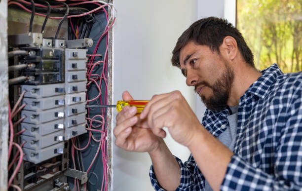 Best Electric Panel Repair  in Heritage Pines, FL